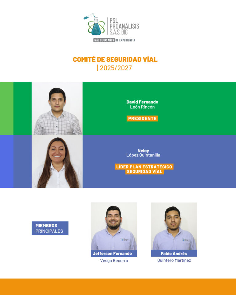 Comité de Seguridad Vial