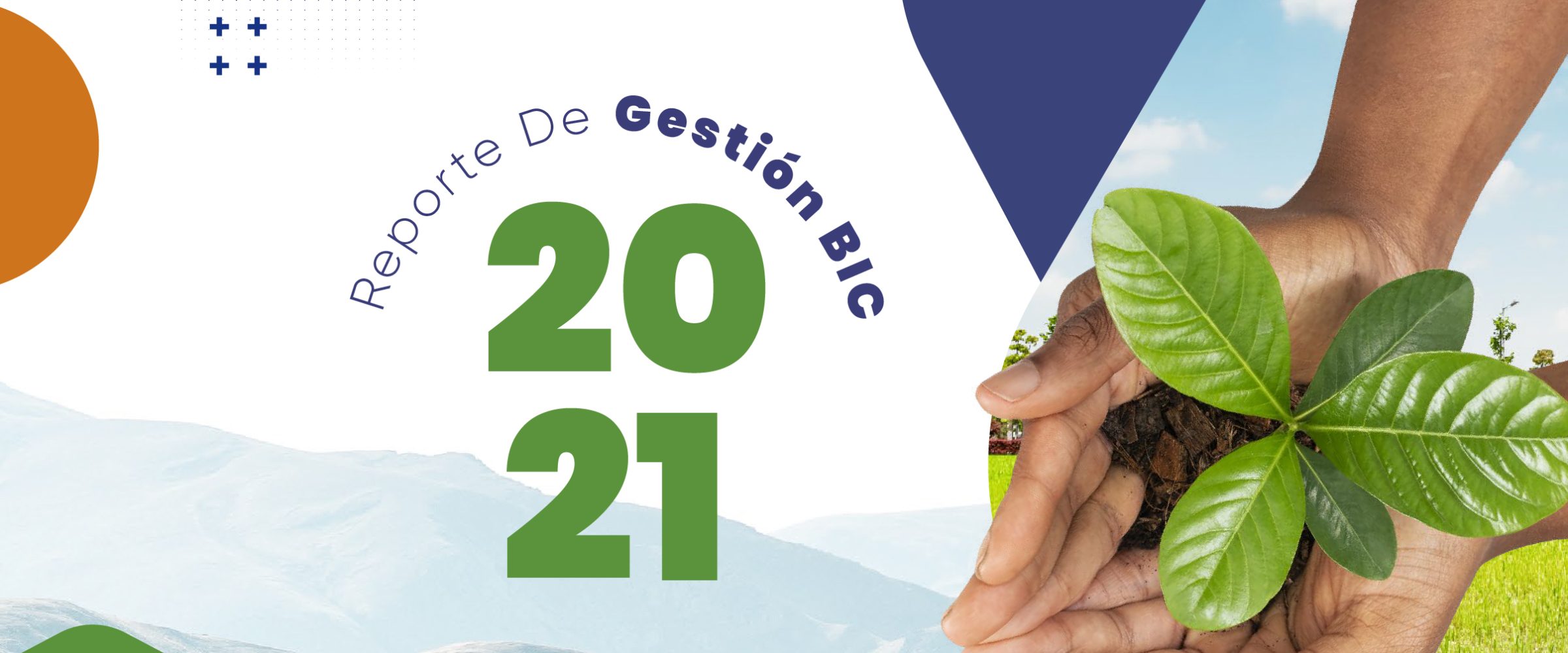 Reporte BIC 2021-03